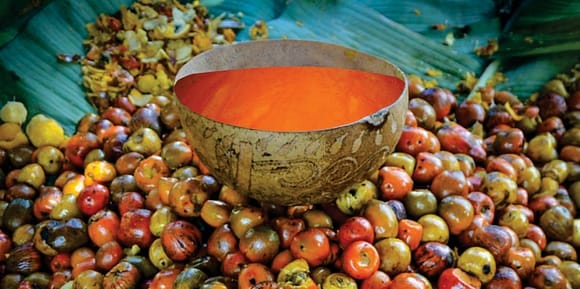 CHICHA CERVEZA DE COMUNIDADES